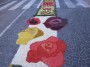infiorata (56)